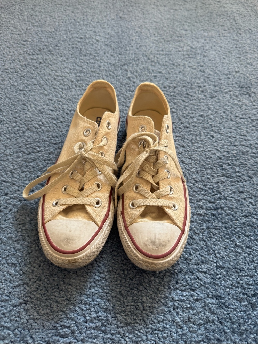 Converse Chuck Taylor All Star Canvas Low Top in Ivory